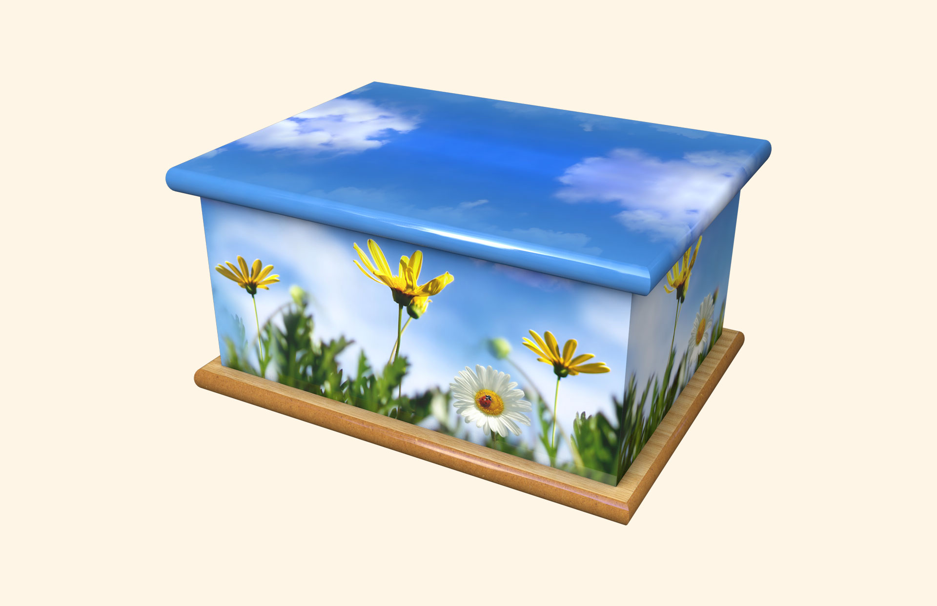 Innocence adult ashes casket